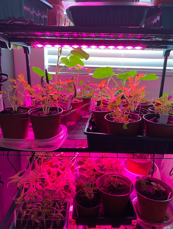 grow light strip