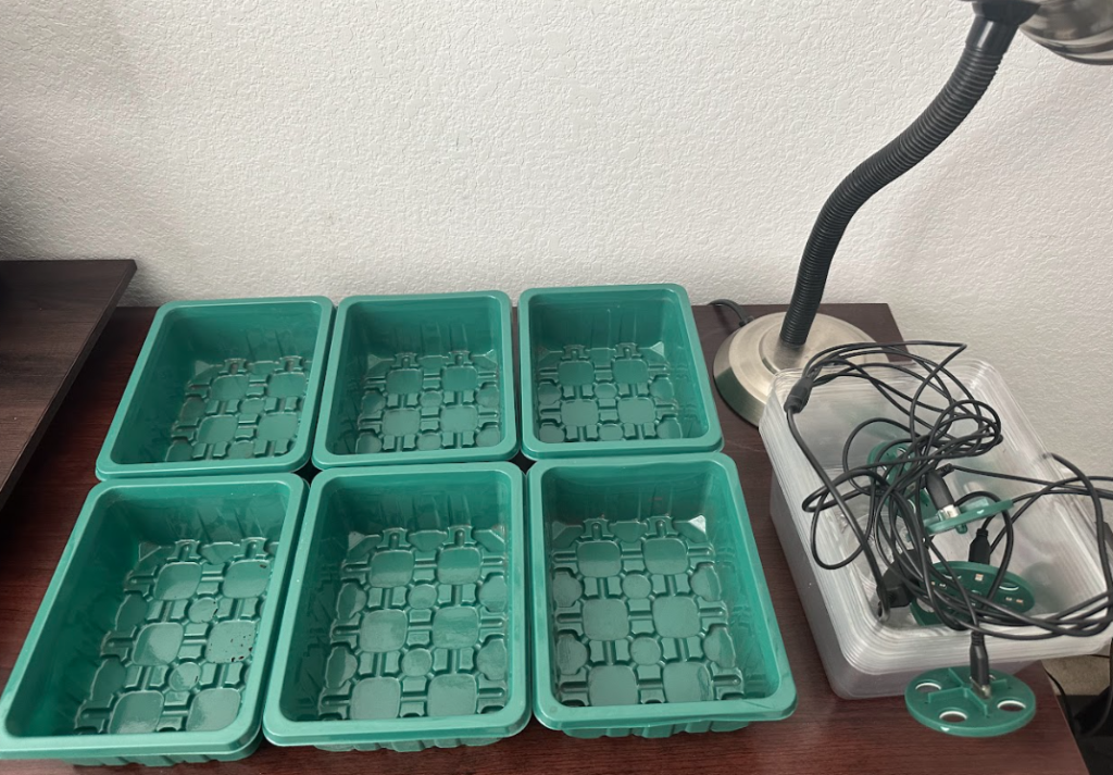 Green seedling trays