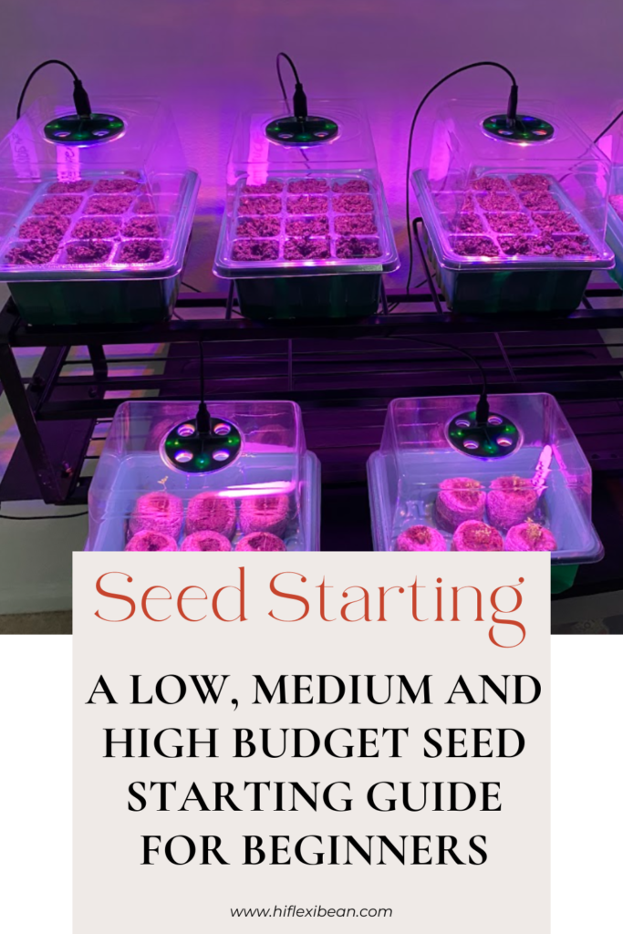 Seed Starting for beginners