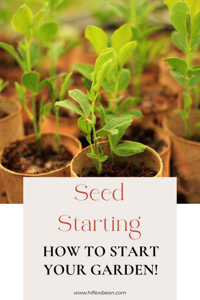 Seedling photo behind text that says seed starting how to start your garden