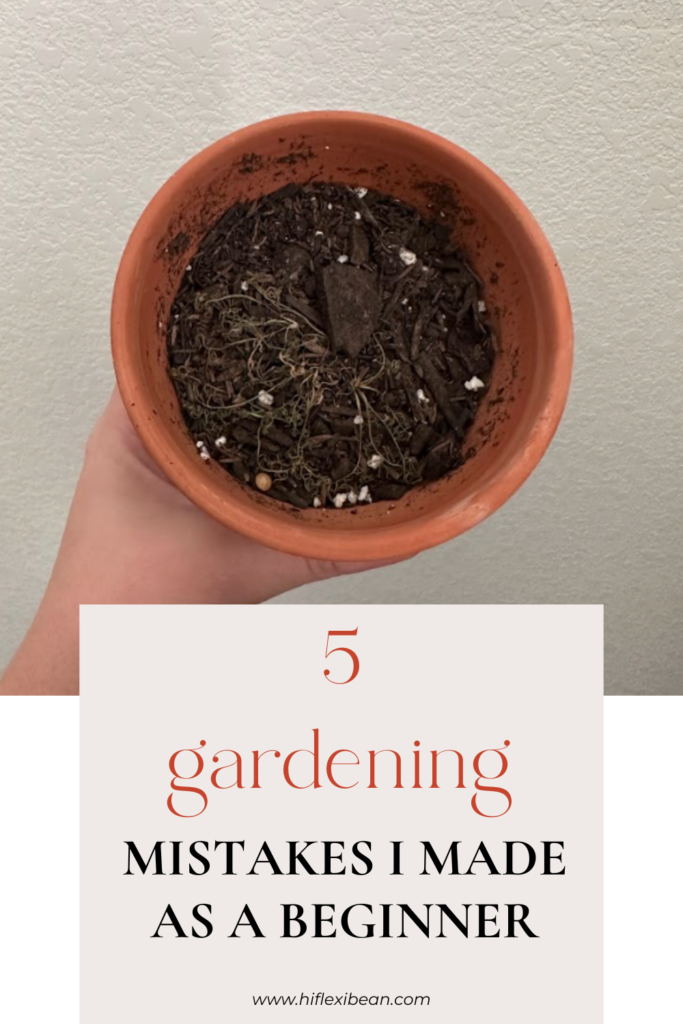 a dead plant with the words 5 gardening mistakes I made as a beginner