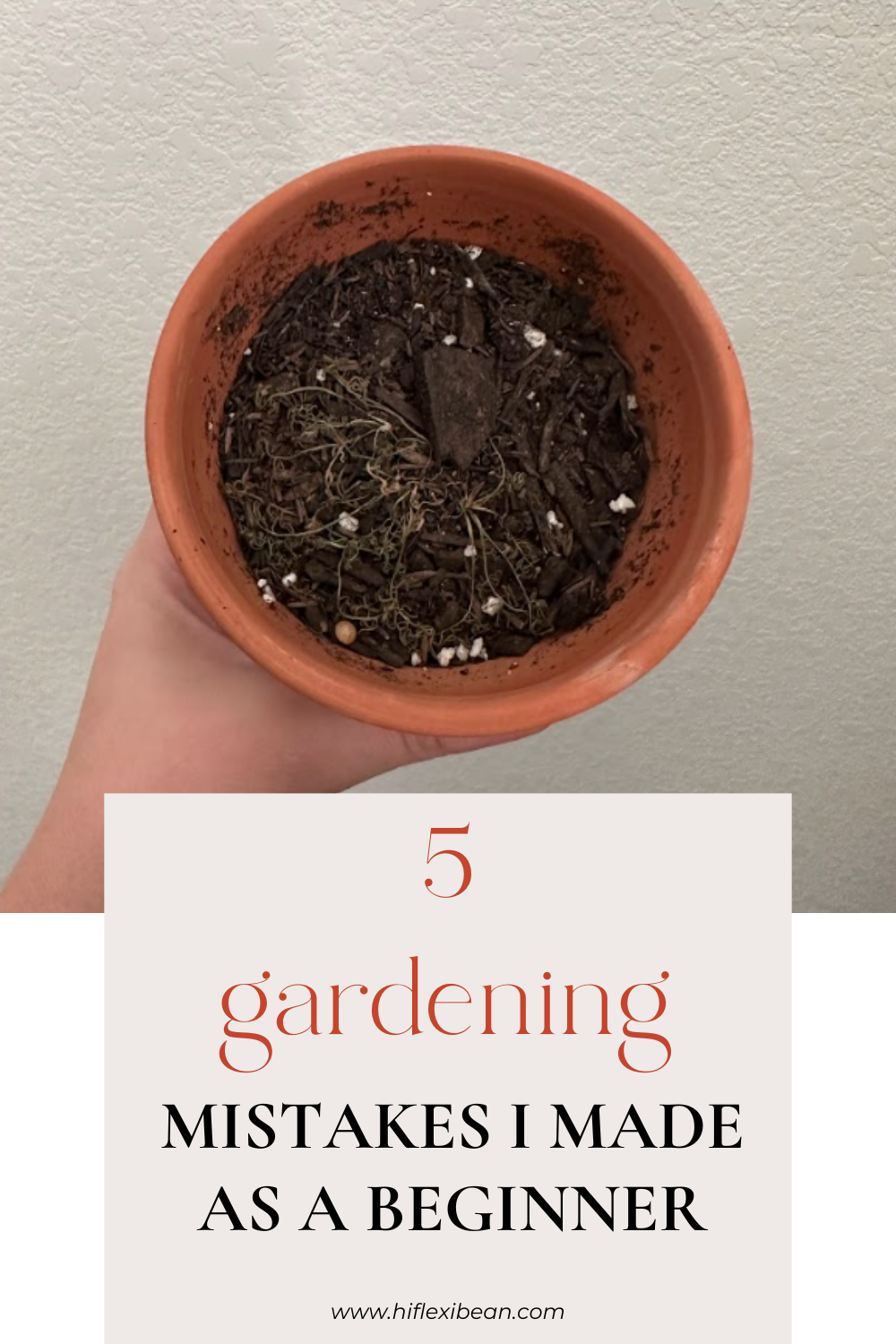 5 Biggest Gardening Mistakes I Made